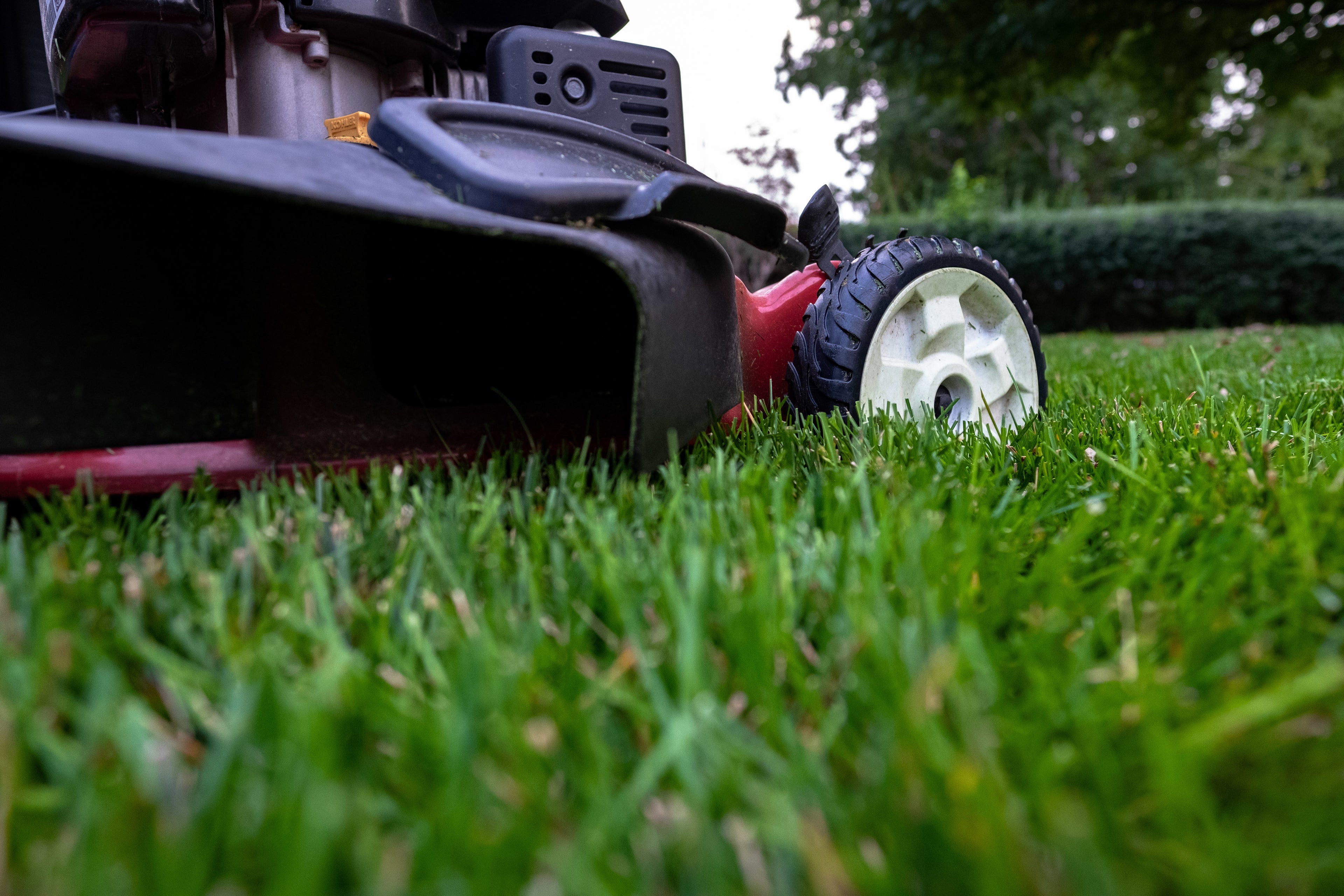 topcesped grass banner